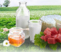 Здоровые продукты
