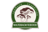 Маловасилевское