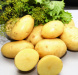 Продажа картофеля